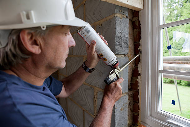 Best Eco-Friendly Insulation in Sitka, AK